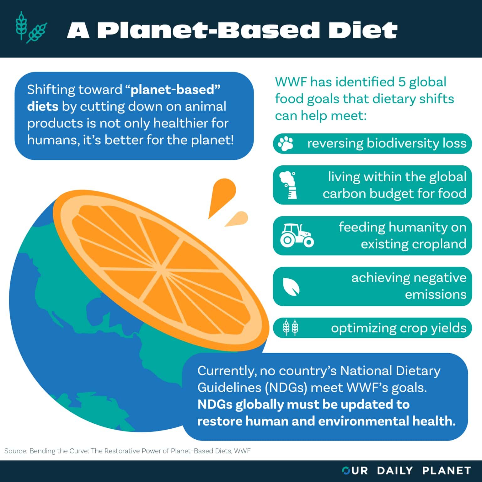 plant based diet